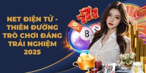 NET Điện Tử
